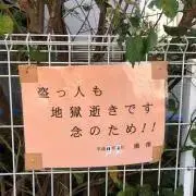 きんぐぐぬ