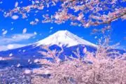 のぶの画像