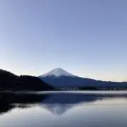 ねこまんま
