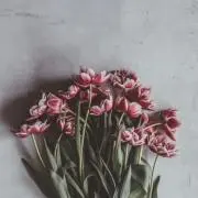 Image of mmfuneral