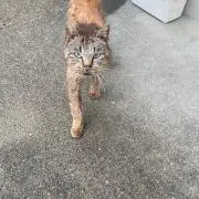 tの画像