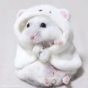 -_-