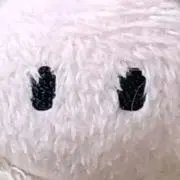 もじゃこ　猫飼ってますの画像