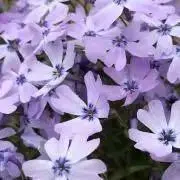 ちっち☆断捨離中の画像