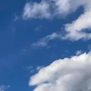 もりの画像