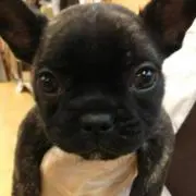 ☆ミント☆