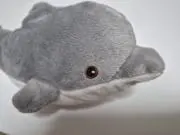 イルカの画像