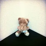 ダイの画像