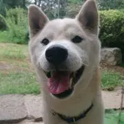 Taro Nakaの画像