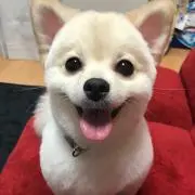 takumi