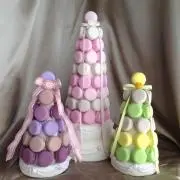 こっちゃんの画像