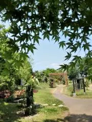 DALIの画像