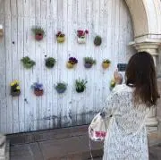 ななな♡即日発送の画像