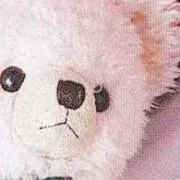おにぎりの画像