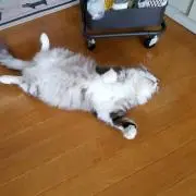 カナ
