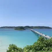 momoの画像