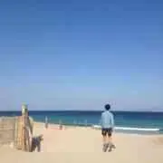 tttの画像