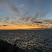☆Y☆