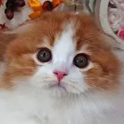 まなもとらぶ