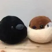 まめの画像