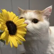 まーちゃんの画像