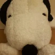 765の画像