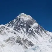 八八四八の画像