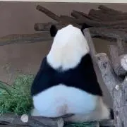 ブルーの画像