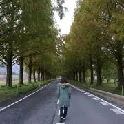 マメタの画像