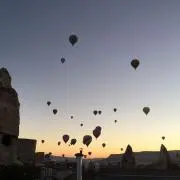 mtの画像