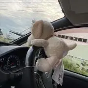 じょるの画像