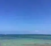 ババールの画像