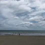 ふじ