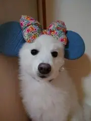 ゆみぞう