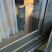 ポチャッコ