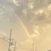 るるの画像