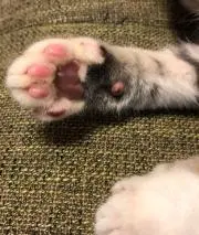 yuki☆の画像