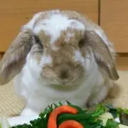 とわママ