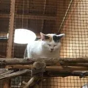 mamu@次回発送6月25日の画像