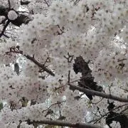 rb ★プロフ必須★