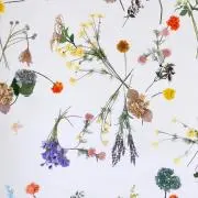おとうふの画像
