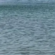 kyupuraの画像