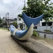クジラ