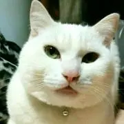 りーちゃん