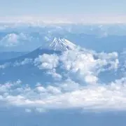 Mたんの画像