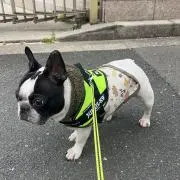 kaoruの画像