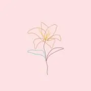 Lily Bloom‪✿の画像