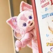 ꒰ঌmi໒꒱プロフ必読.。.:*・゜＋の画像