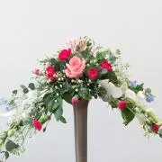 kawasemiの画像