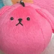 かりんの画像